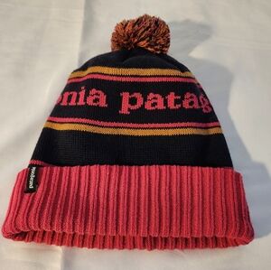 Patagonia Cap